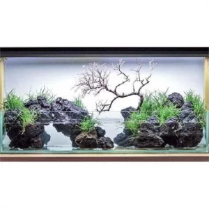 Black Lava Rock Aquarium