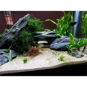 Black Slate For Aquarium