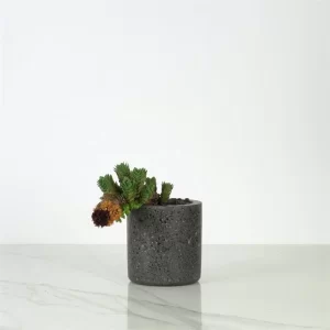 Home Decor Black Terrazzo Planters Gardening Decoration Pots For Succulent Plants