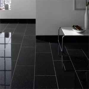 Black Galaxy Granite Floor Tiles