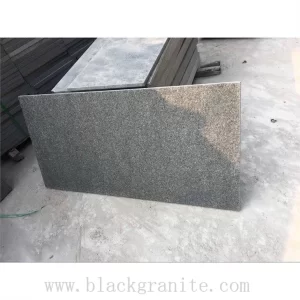 Dark Blue and Black Granite Paving