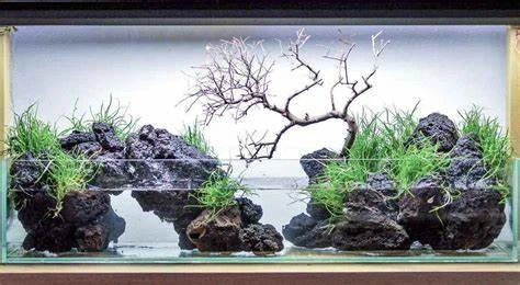 Black Lava Rock Aquarium
