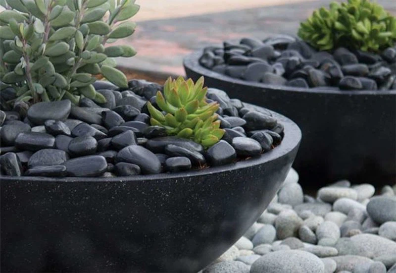 Polished Black Pebble Cobble Stone For Garden Art